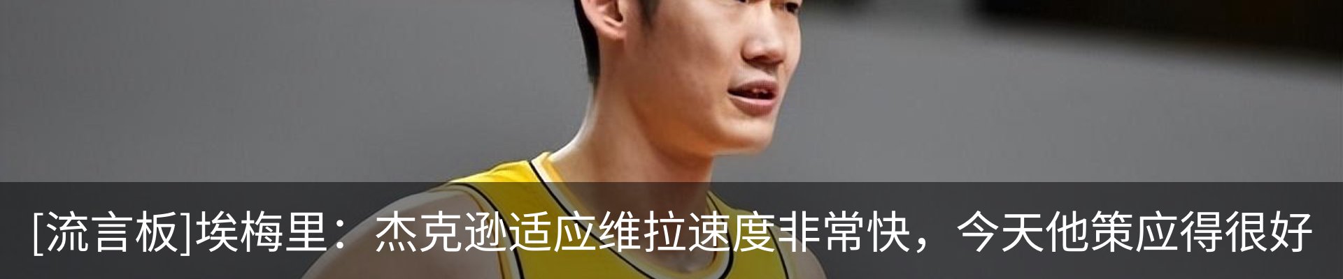 最新动态